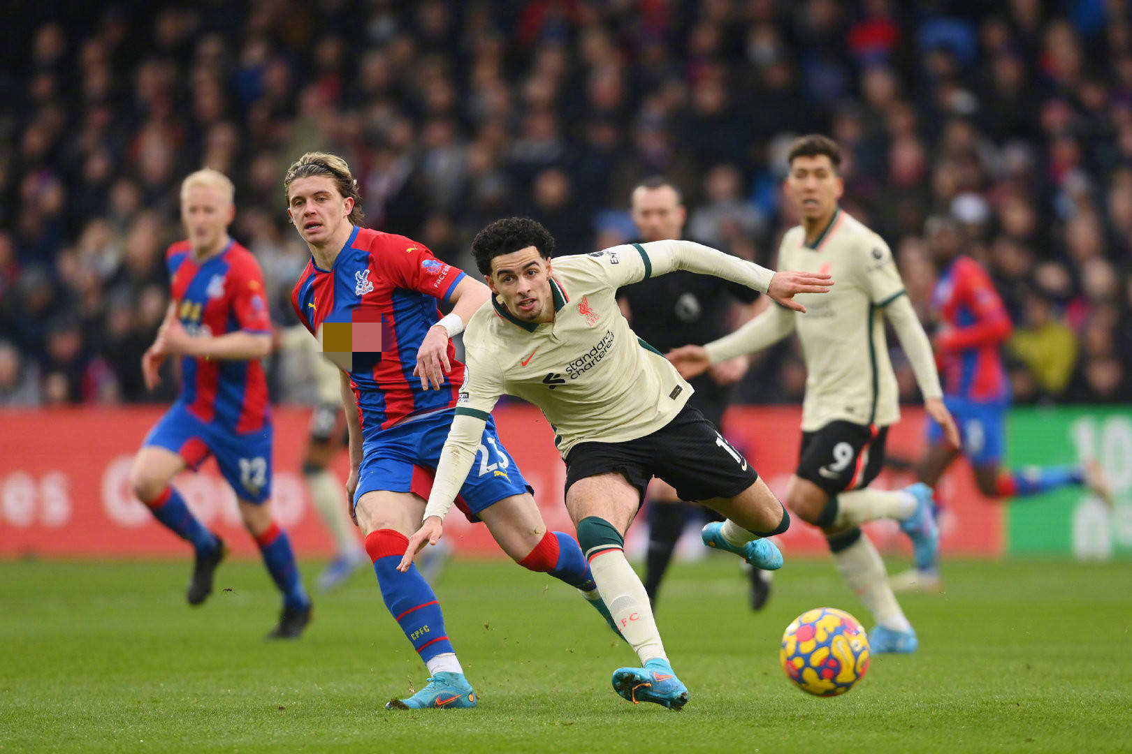 展示了NB 展示了NB